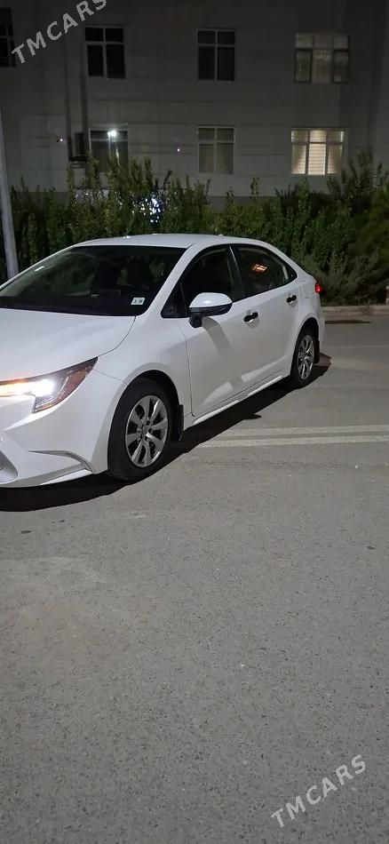Toyota Corolla, 2020