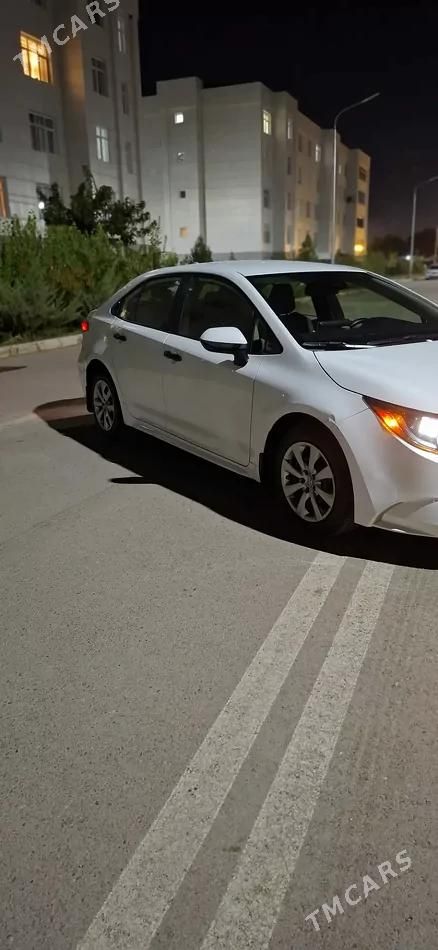 Toyota Corolla, 2020