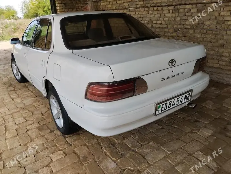Toyota Camry, 1993 — фото 2