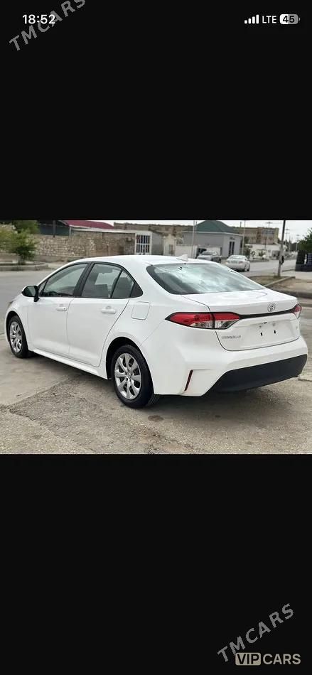 Toyota Corolla, 2024
