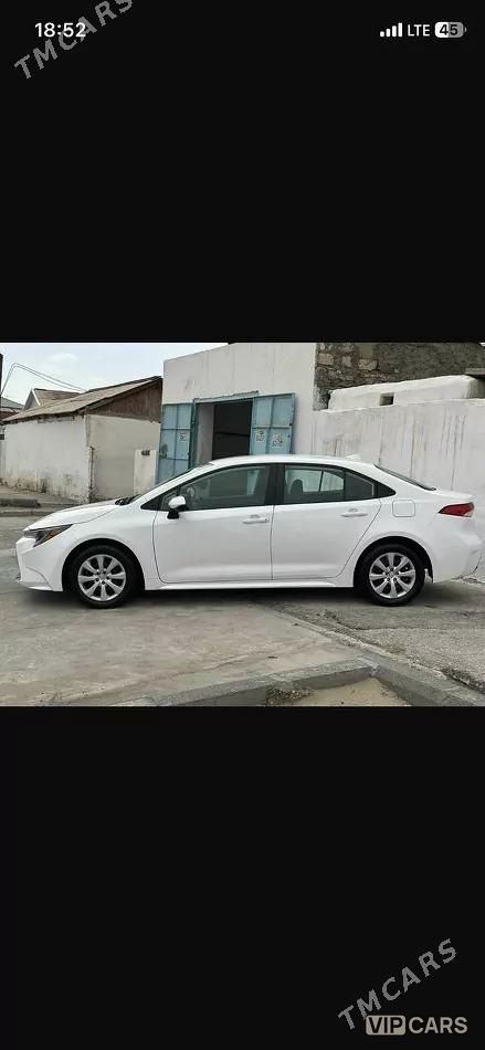 Toyota Corolla, 2024
