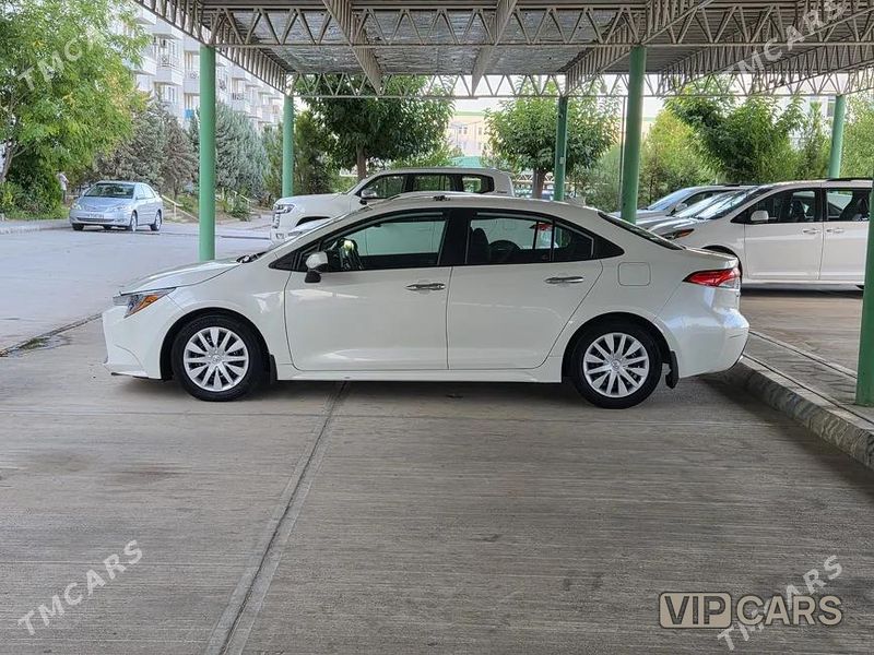 Toyota Corolla, 2020