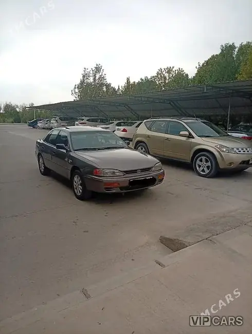 Toyota Camry, 1995 — фото 1
