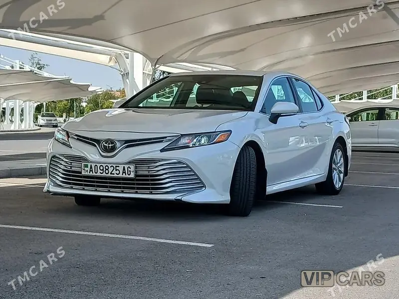 Toyota Camry, 2019 — фото 1