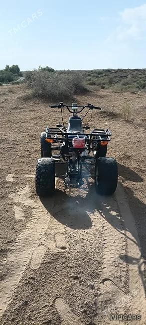 Yamaha Artistic, 2016