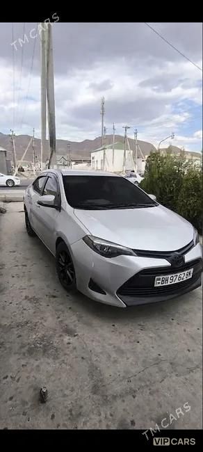 Toyota Corolla, 2019