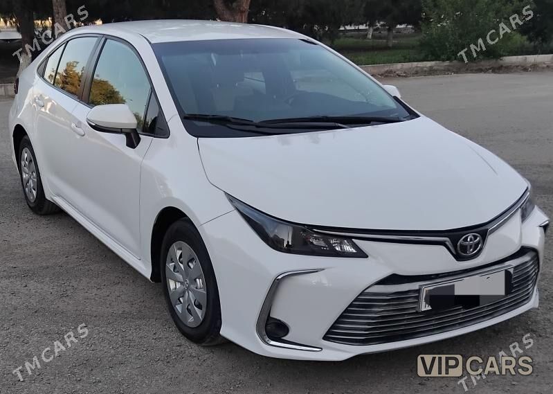 Toyota Corolla, 2023