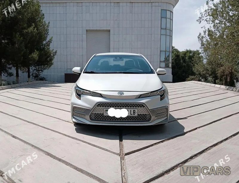 Toyota Corolla, 2019