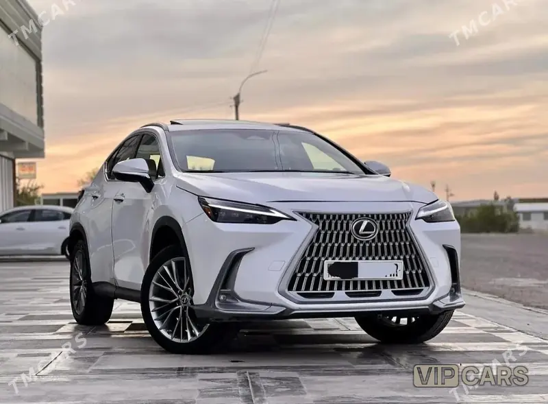Lexus NX 350, 2022 — фото 1