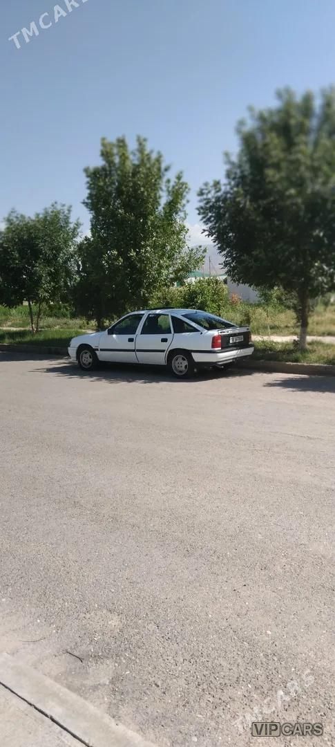 Opel Vectra, 1991