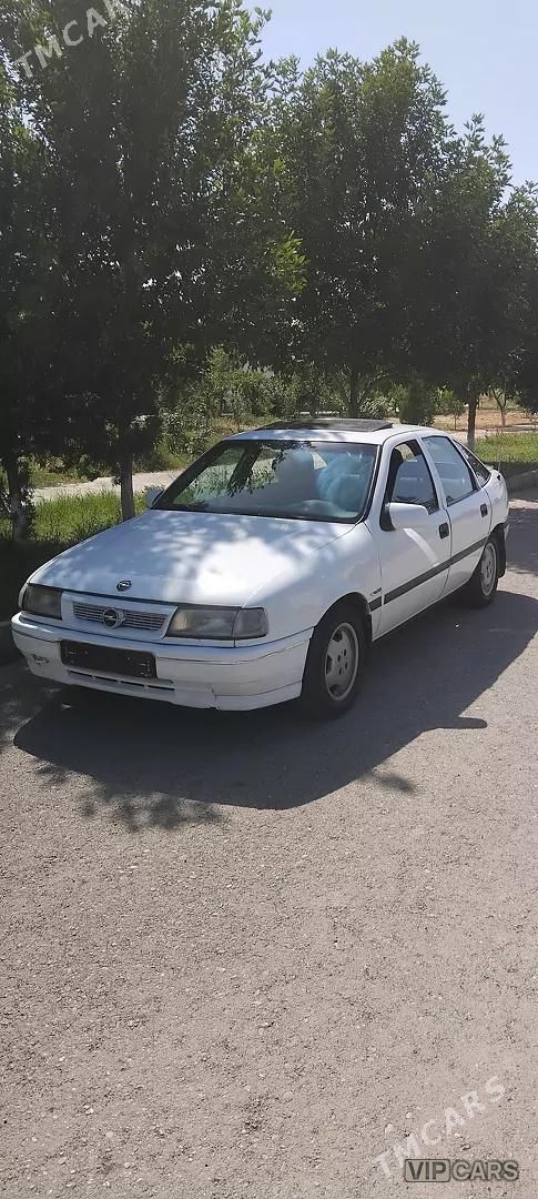 Opel Vectra, 1991