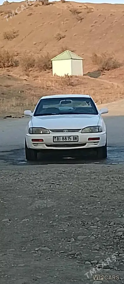 Toyota Camry, 1996 — фото 1