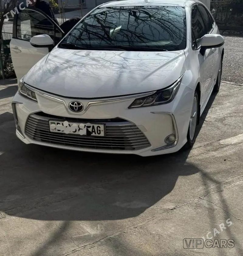 Toyota Corolla, 2020