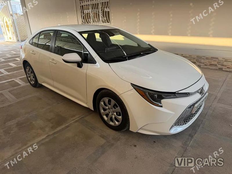 Toyota Corolla, 2019