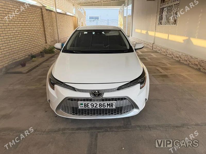 Toyota Corolla, 2019