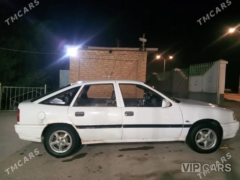 Opel Vectra, 1991