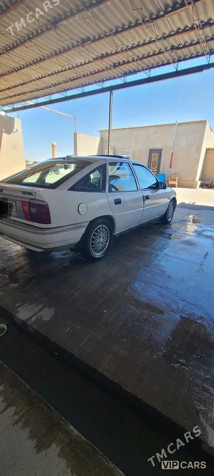 Opel Vectra, 1991